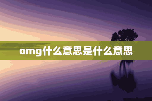 omg什么意思是什么意思(omg是什么意思?)